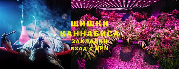 гидра Инсар
