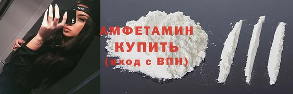гидра Инсар