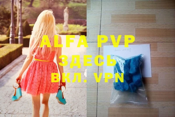 гидра Инсар