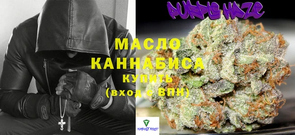 гидра Инсар