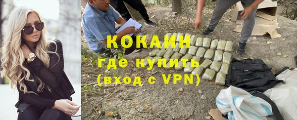 гидра Инсар