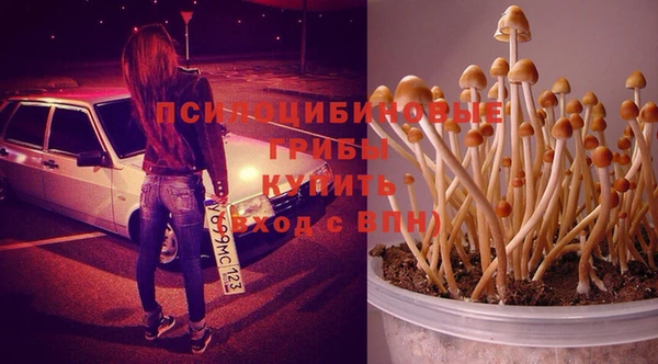 COCAINE Инта