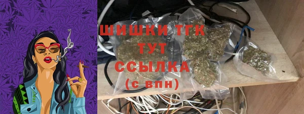гидра Инсар