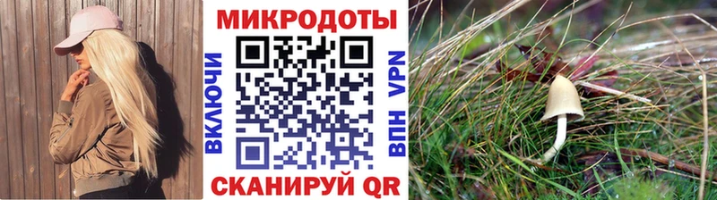 Псилоцибиновые грибы мухоморы  Купить где  Чкаловск 