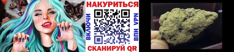 Купить где  Чкаловск  Канабис OG Kush 
